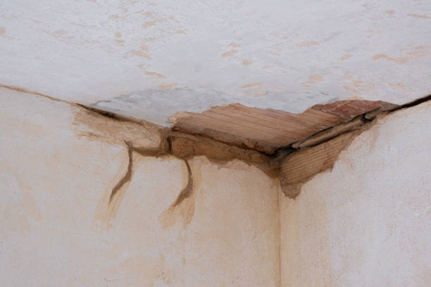 Trusted Desert Edge, CA Water damage restoration Experts
