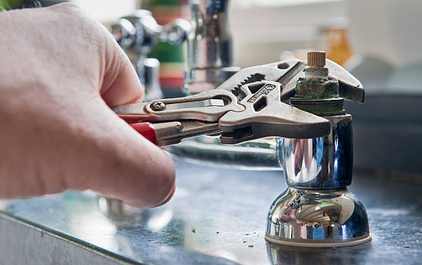Best Professional water damage repair  in Desert Edge, CA