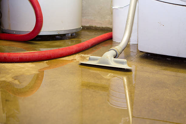 Best Carpet water damage restoration  in Desert Edge, CA